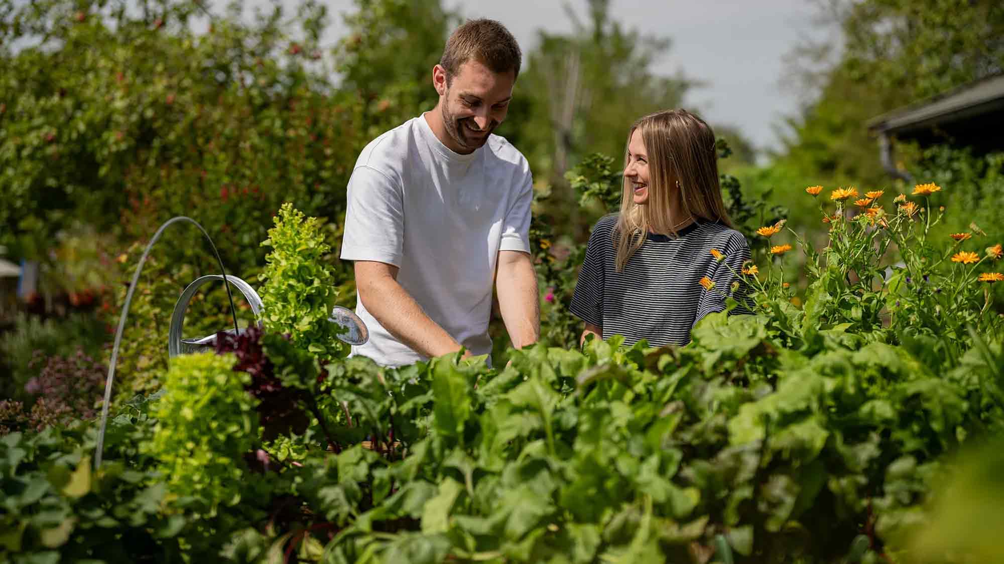 Gemüseanzucht gelingt im Hochbeet besonders gut – 6 Floragard Tipps für Selbstversorger