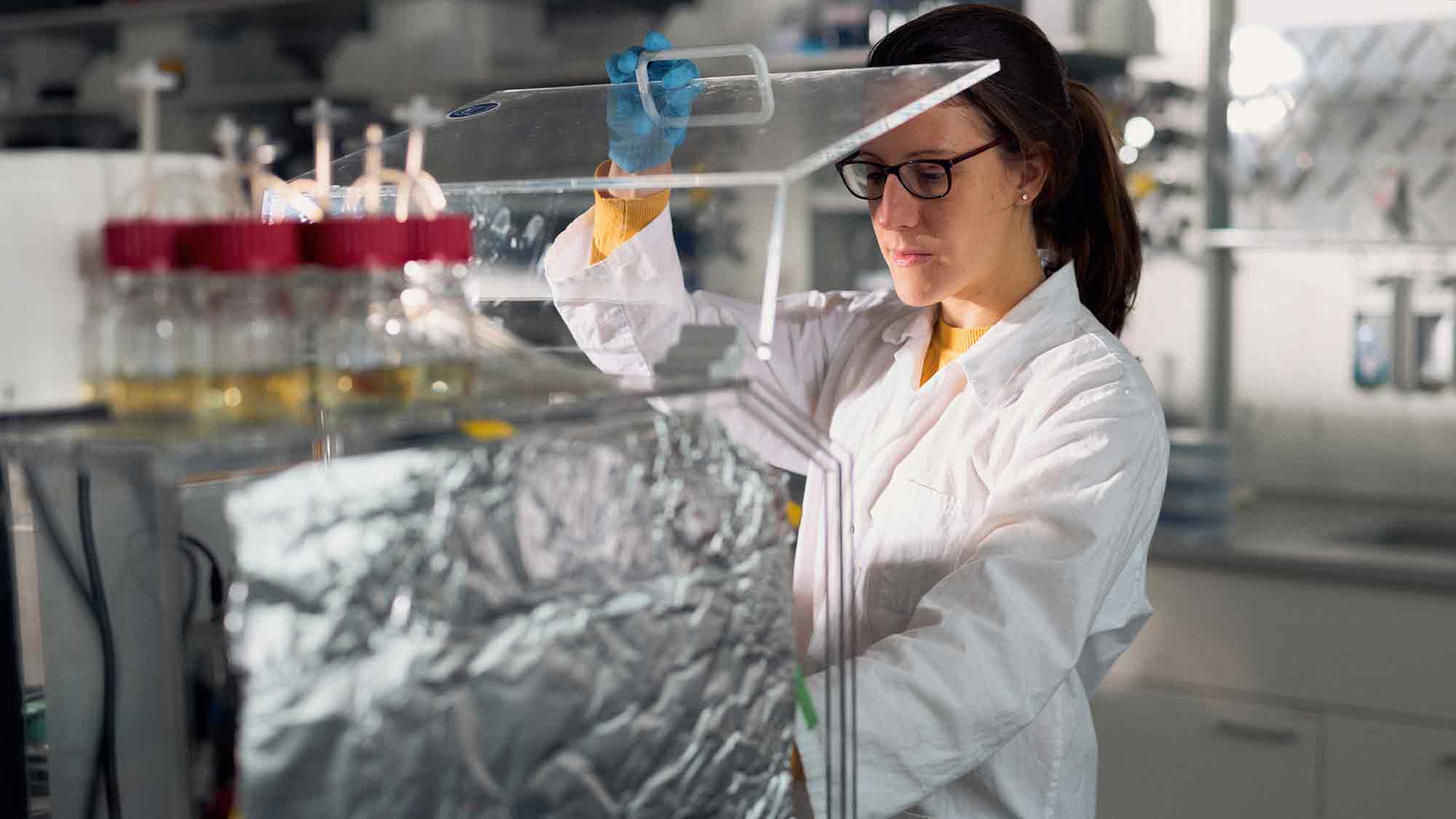 Brasilianische Forscherin entwickelt im HSBI Labor innovatives Verfahren zur Entwicklung eines biologischen Pflanzenschutzmittels Brasilianische Forscherin entwickelt im HSBI Labor innovatives Verfahren zur Entwicklung eines biologischen Pflanzenschutzmittels