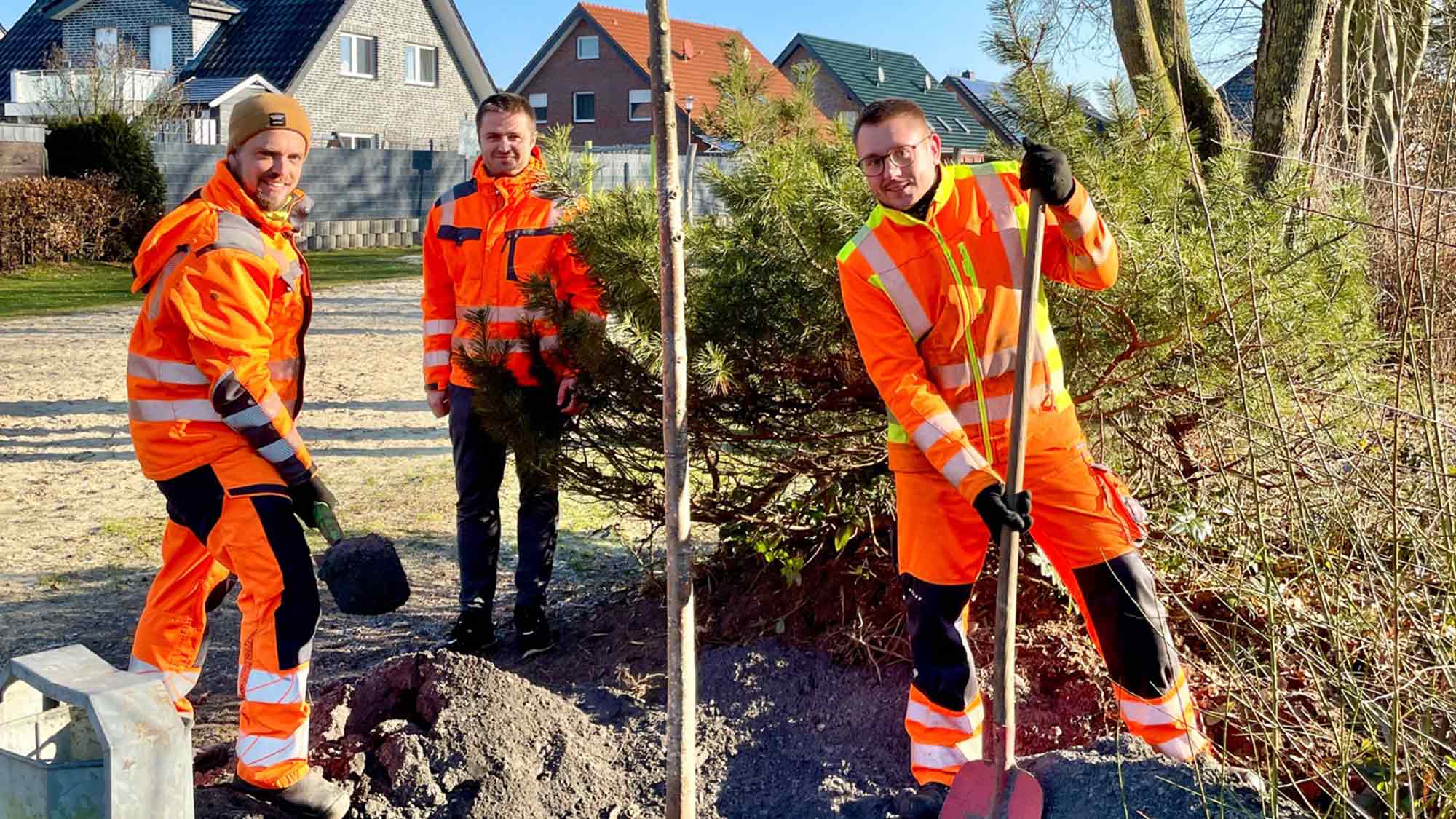 Rietberg setzt mehr als 120 neue Bäume – Ersatzpflanzungen und Neuanpflanzungen in allen Ortsteilen