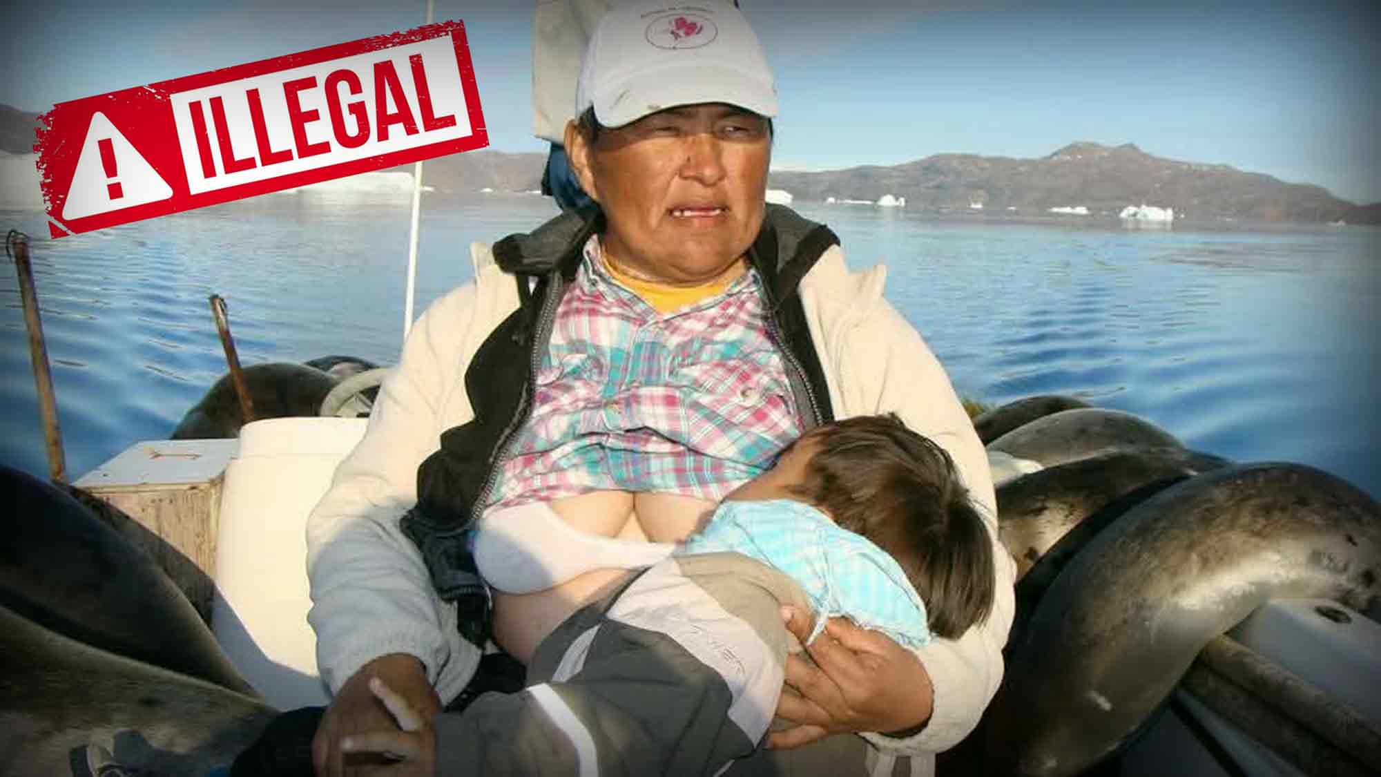 Jörn Kriebel &raquo;Save the Ocean&laquo;: Erneute Jagd auf 11 Robben in Nuussuaq – gibt es noch ein anderes Wort für &raquo;pervers&laquo;?