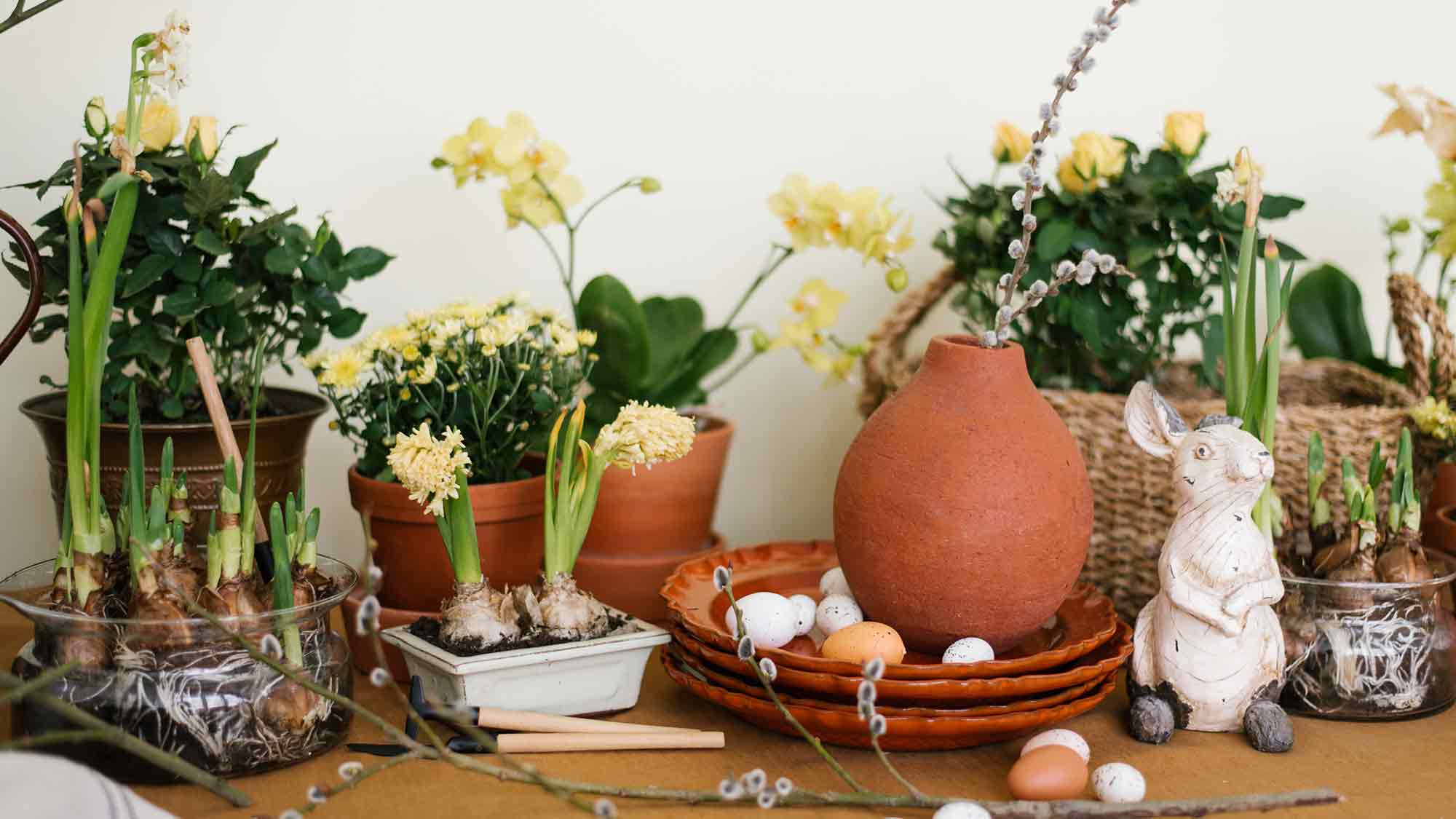 Verbraucherzentrale Nordrhein Westfalen: Ostern kreativ und nachhaltig Verbraucherzentrale Nordrhein Westfalen: Ostern kreativ und nachhaltig