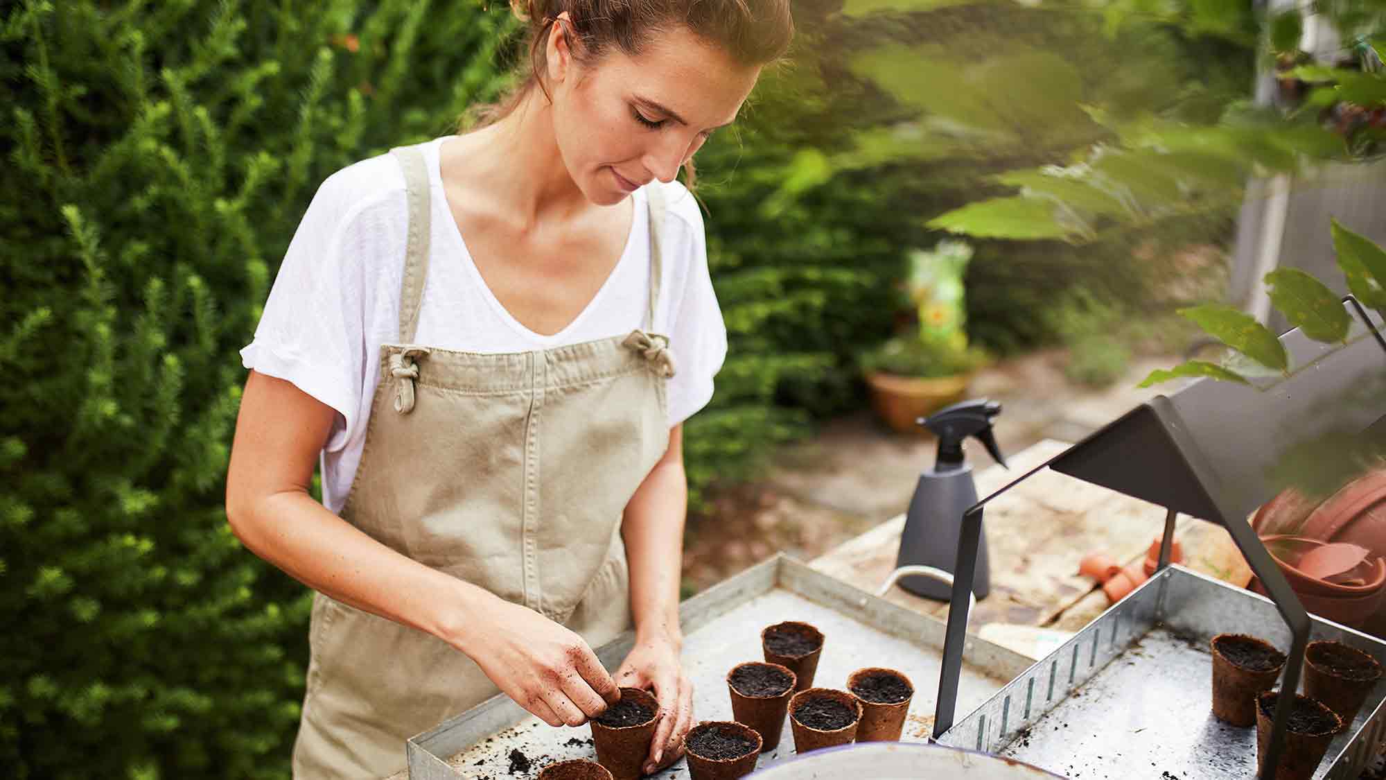 Industrieverband Agrar (IVA): köstliche Tradition – Tipps zum Anbau historischer Gemüsesorten Industrieverband Agrar (IVA): köstliche Tradition – Tipps zum Anbau historischer Gemüsesorten