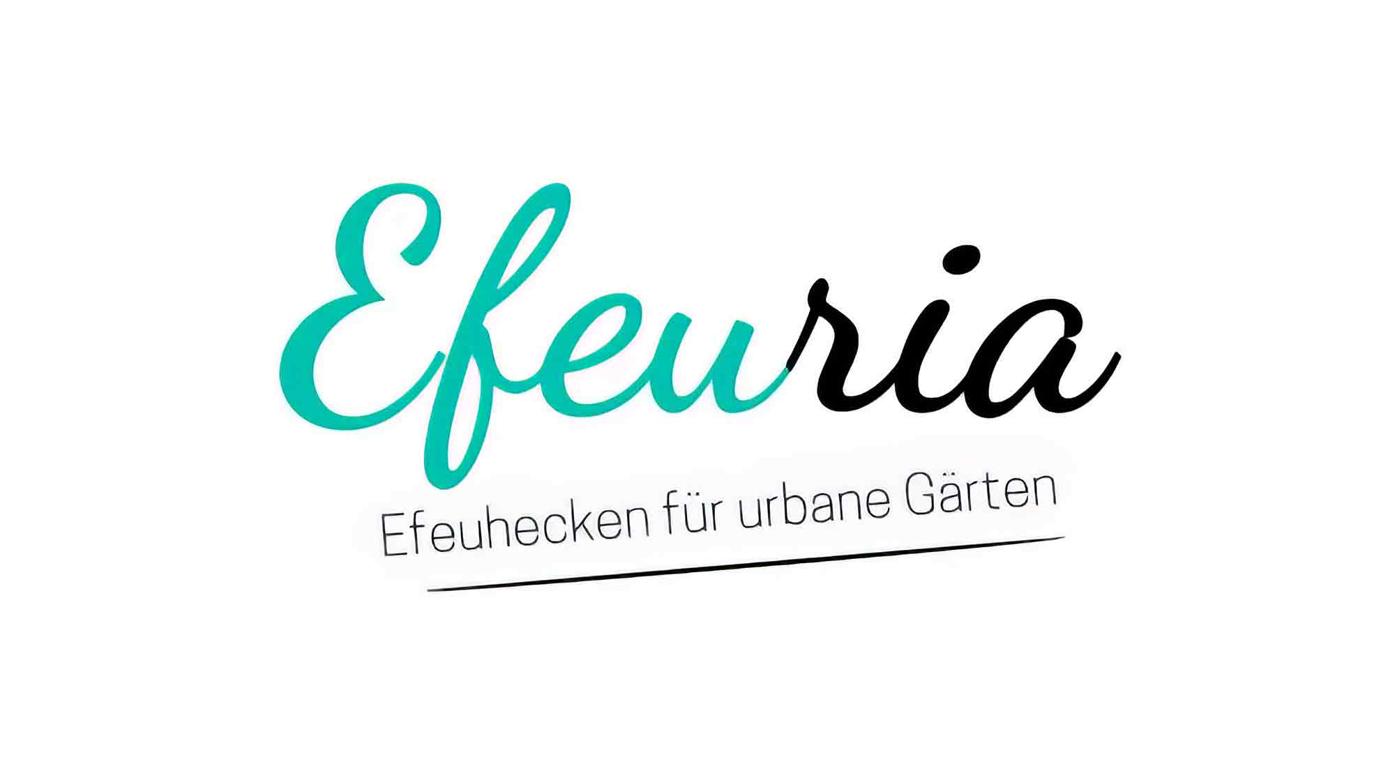 Nachhaltig, schnell und nah: Efeuria startet neue Abholstation für Efeuhecken bei München Nachhaltig, schnell und nah: Efeuria startet neue Abholstation für Efeuhecken bei München