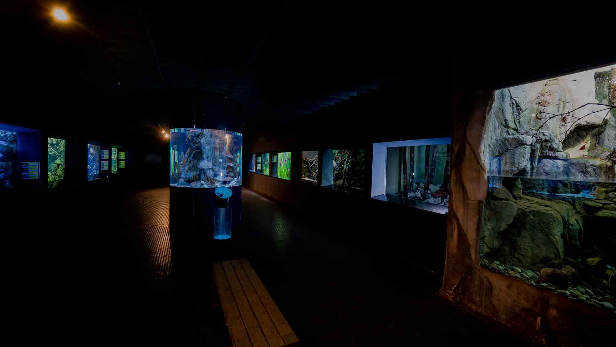 Von Manatis bis Muscheln: Meer Erlebnistag im Zoo Duisburg, 5. April 2025