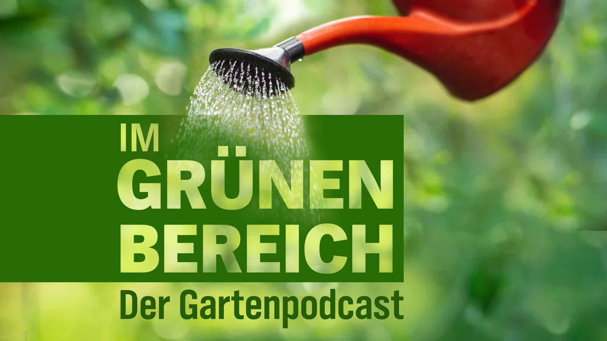 NDR Garten Podcast »Im Grünen Bereich« – Service für den ganzen Norden aus Kiel und Hannover NDR Garten Podcast »Im Grünen Bereich« – Service für den ganzen Norden aus Kiel und Hannover