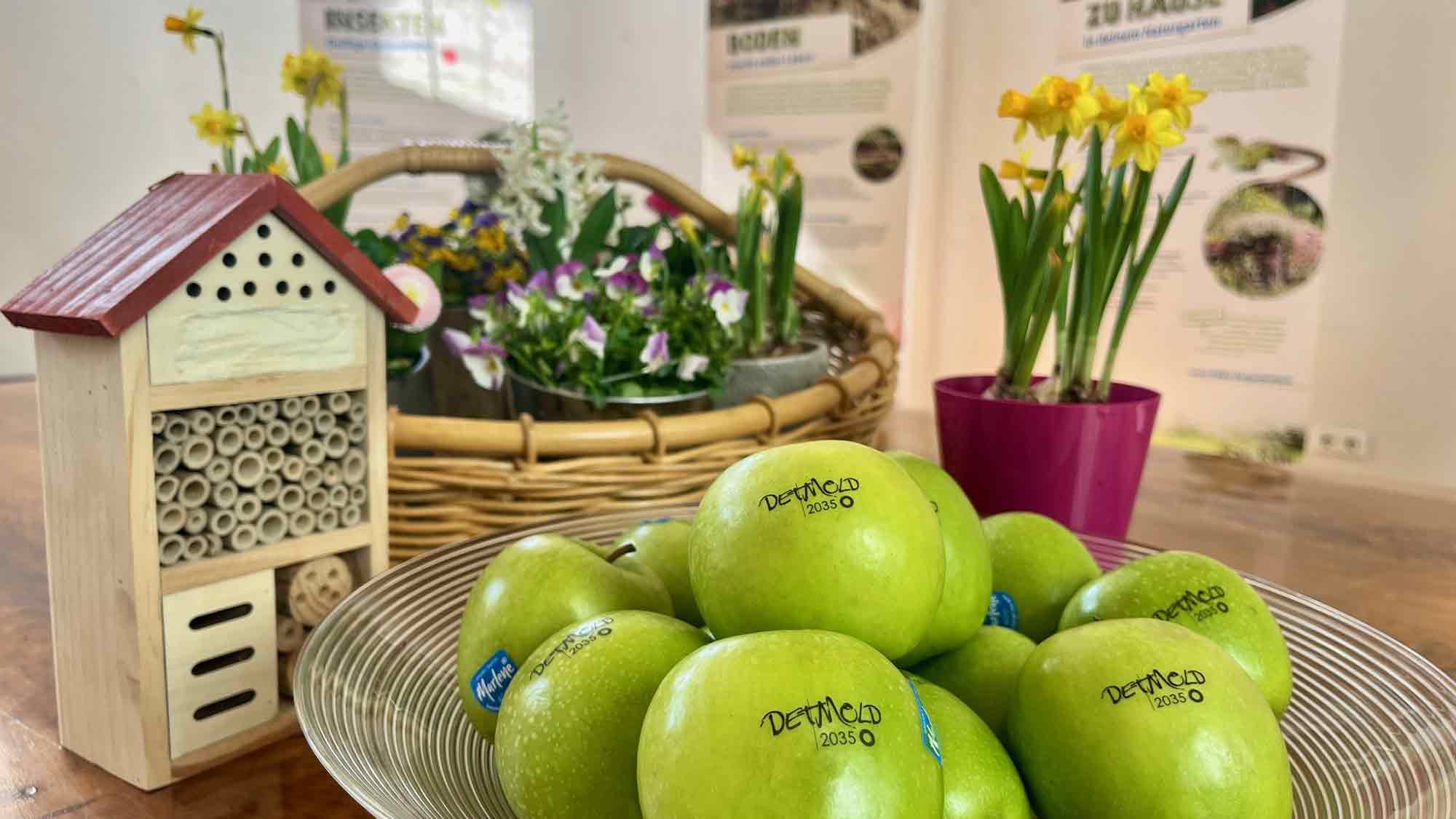»Gönn’ Dir Garten«, Ausstellung im Rathaus am Markt Detmold macht Lust auf naturnahe Gärten »Gönn’ Dir Garten«, Ausstellung im Rathaus am Markt Detmold macht Lust auf naturnahe Gärten