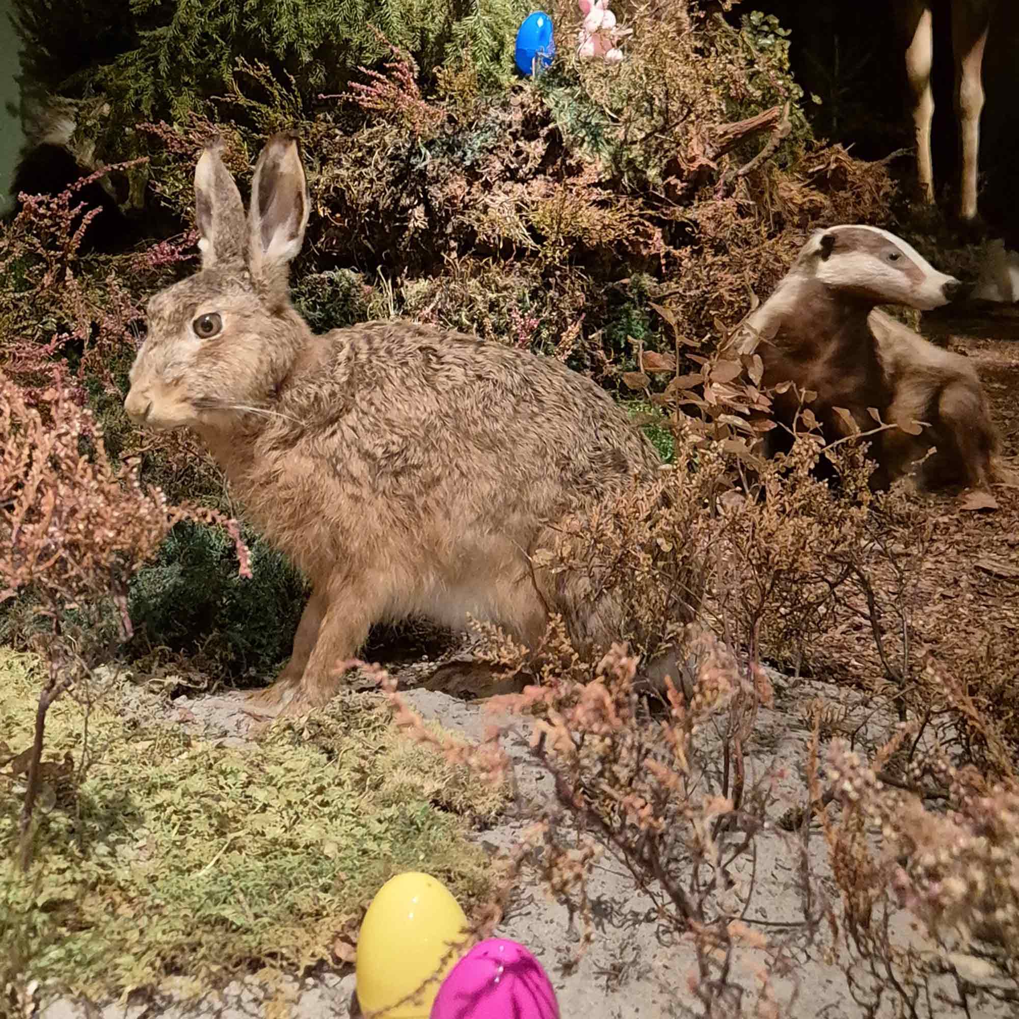 Im Museum sind die Hasen los: Osterferien Special für Familien mit Kindern im Lippischen Landesmuseum Detmold, 12. bis 27. April 2025