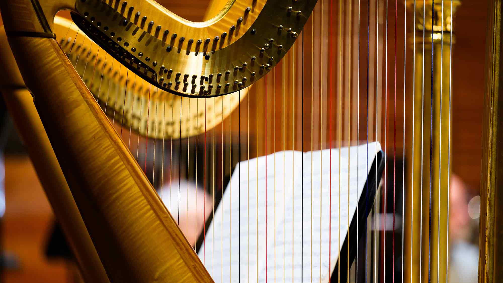 DNT Weimar: Junge Staatskapellen Musikerinnen präsentieren sich kammermusikalisch, 13. April 2025