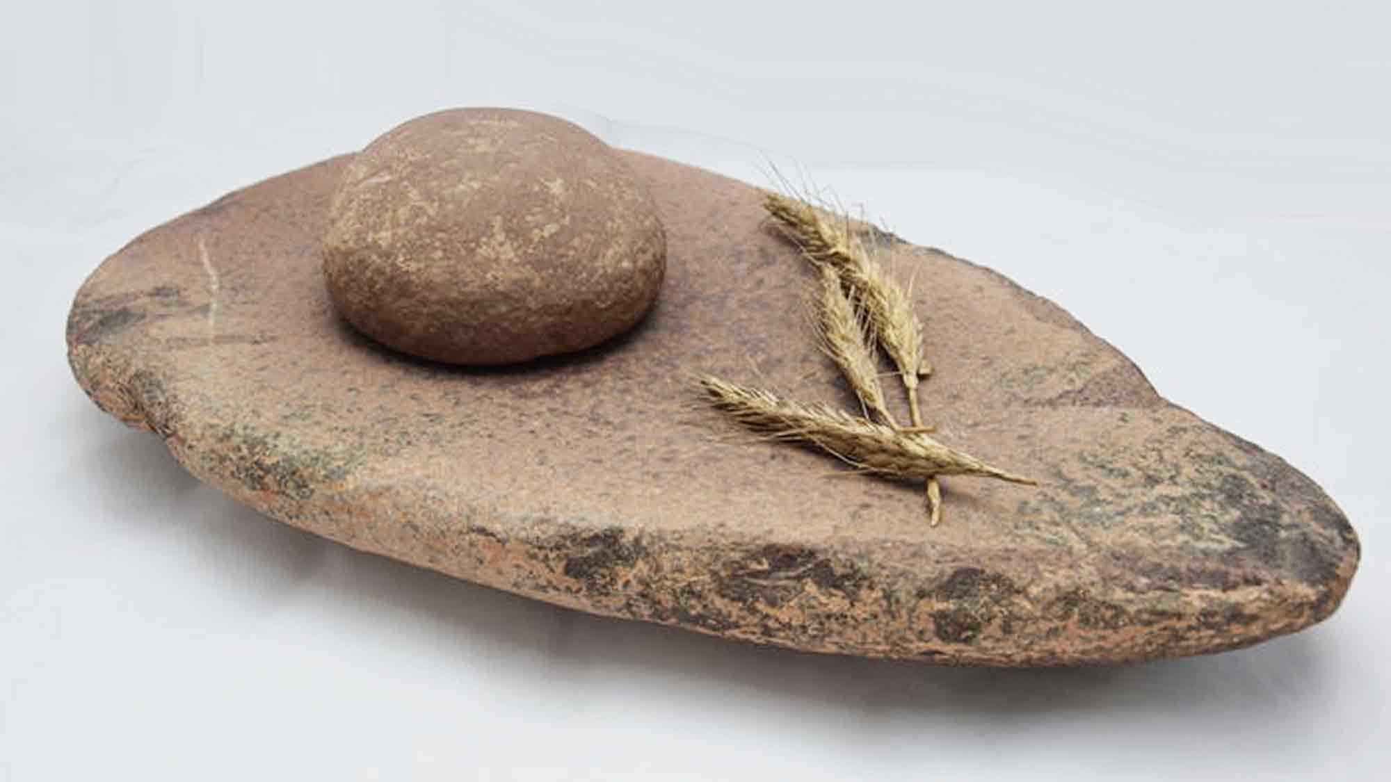 Lippisches Landesmuseum Detmold: Saat gut, alles gut? Wie die Steinzeit Menschen sesshaft wurden, 26. April 2025 Lippisches Landesmuseum Detmold: Saat gut, alles gut? Wie die Steinzeit Menschen sesshaft wurden, 26. April 2025