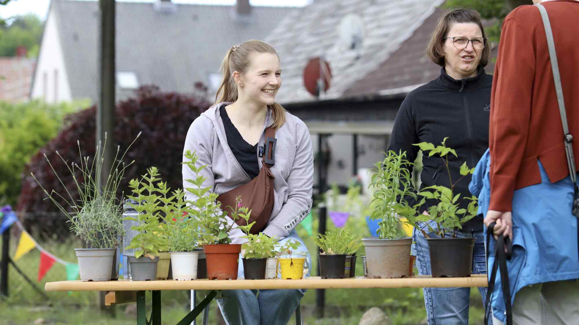 Es summt auf der Hütte – Gernheimer Tag der Biene und Staudenbörse am Internationalen Museumstag, 18. Mai 2025