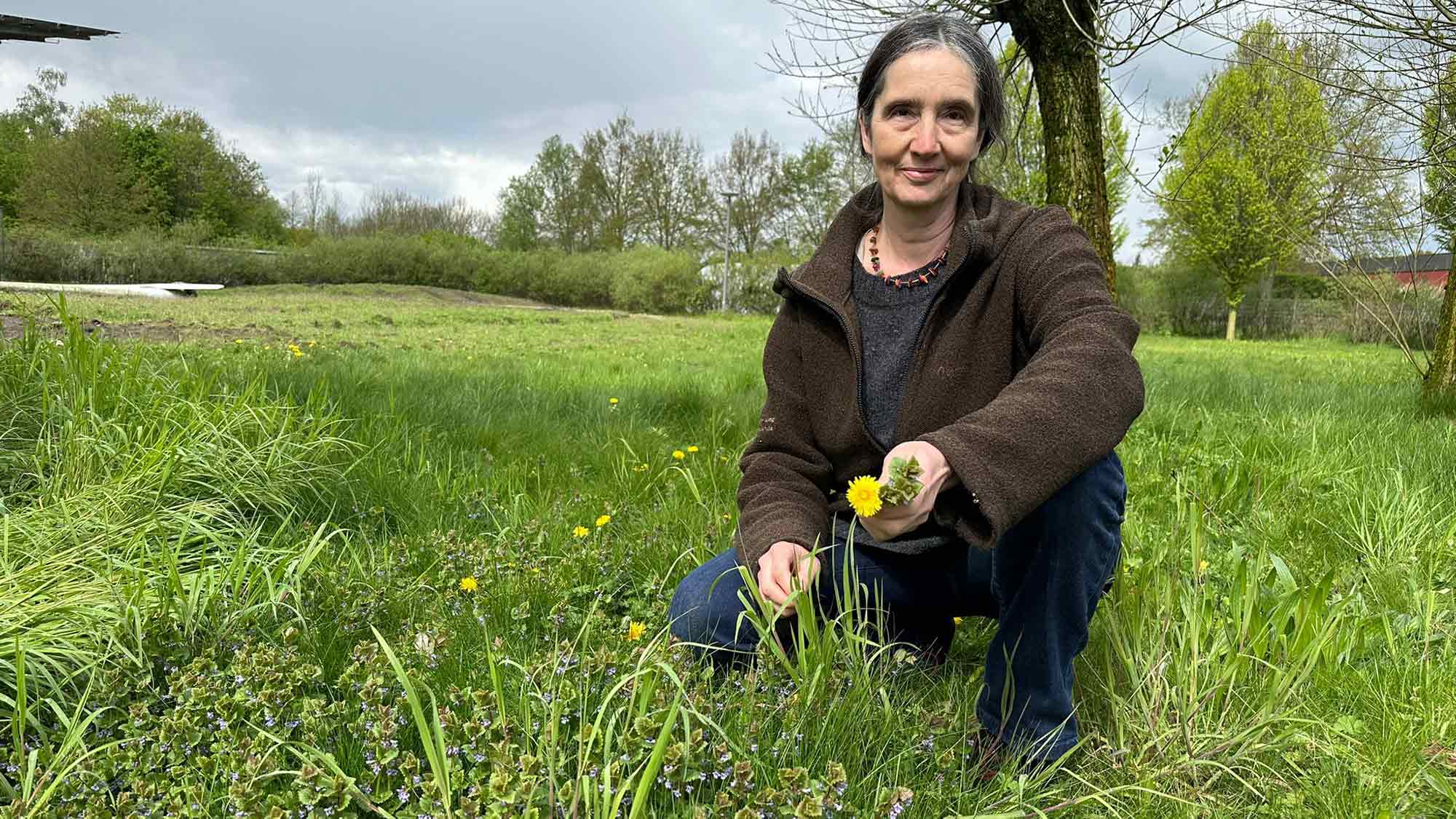 Wilde Kräuterküche im Gartenschaupark Rietberg – Koch Event für Erwachsene am Freitag, 23. Mai 2025 Wilde Kräuterküche im Gartenschaupark Rietberg – Koch Event für Erwachsene am Freitag, 23. Mai 2025