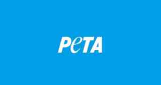 The NOW of Gütersloh