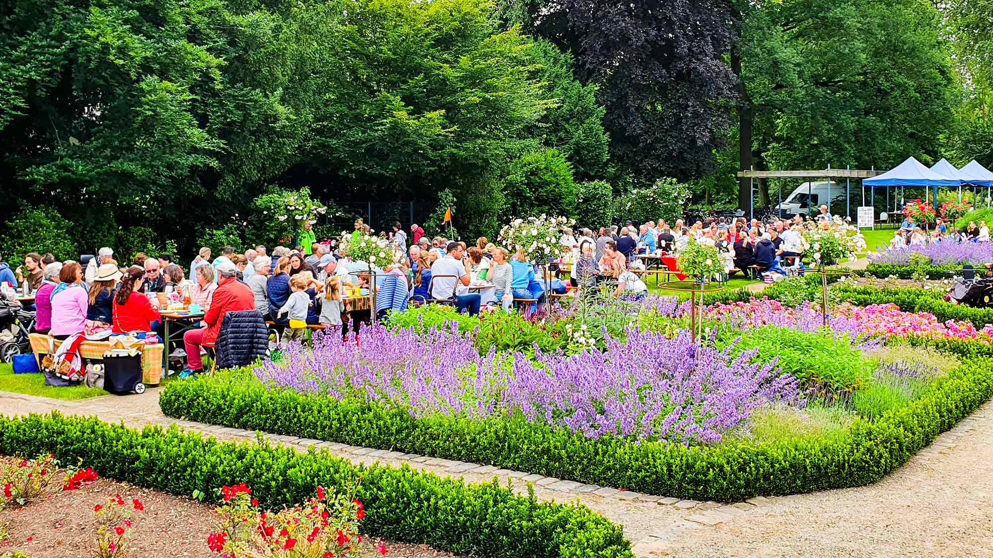 Rosengarten in Rheda Wiedenbrück: Frühstück im Park – jetzt anmelden, 22. Juni 2025
