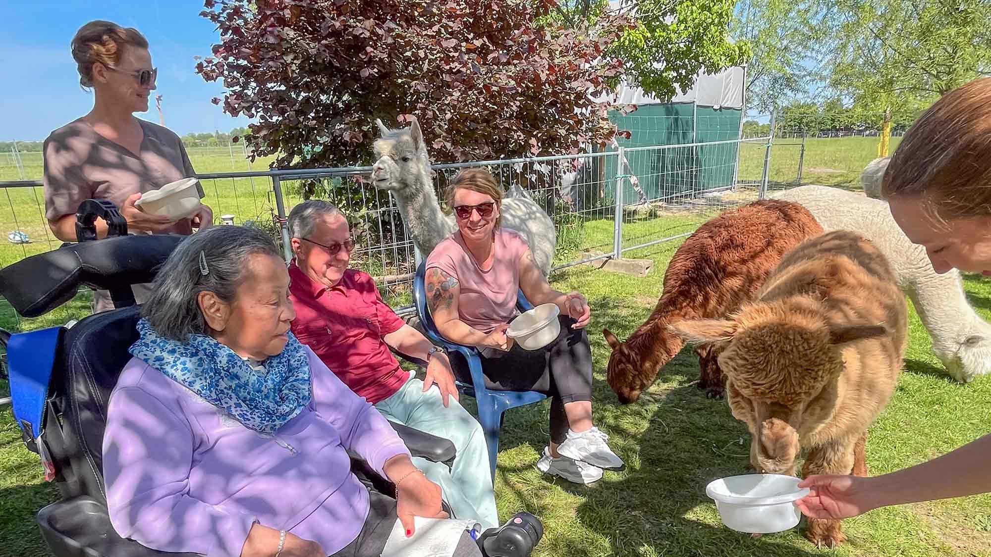 Diakonie Gütersloh: Intensivpflege WG besucht »Natur Oase Alpakas« Diakonie Gütersloh: Intensivpflege WG besucht »Natur Oase Alpakas«