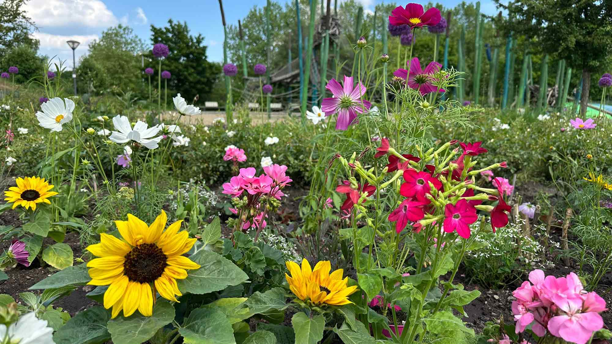Gartenschaupark Rietberg: zwei Führungen zum »Tag der Gärten und Parks«, 14. und 15. Juni 2025 Gartenschaupark Rietberg: zwei Führungen zum »Tag der Gärten und Parks«, 14. und 15. Juni 2025