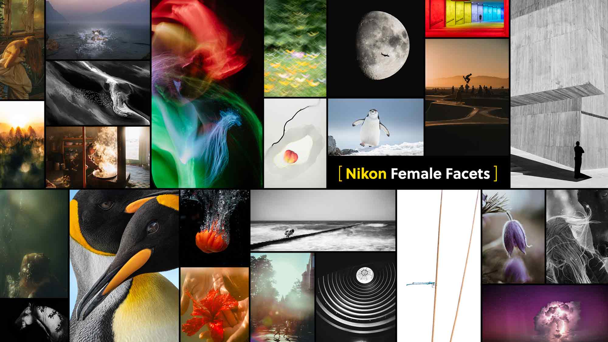 Nikon Female Facets – Startschuss für den neuen Fotowettbewerb 2025 Nikon Female Facets – Startschuss für den neuen Fotowettbewerb 2025
