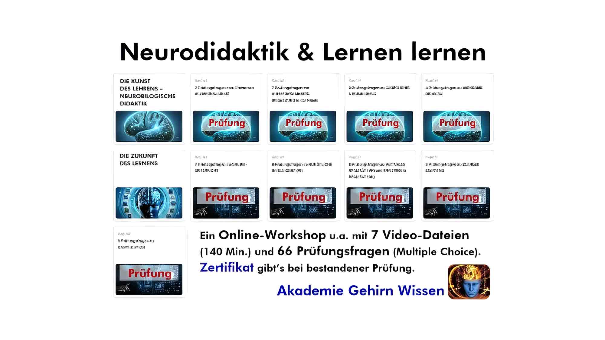 Neurodidaktik neu gedacht – Online Workshop für zukunftsorientierte Trainer, Coaches und Bildungsprofis Neurodidaktik neu gedacht – Online Workshop für zukunftsorientierte Trainer, Coaches und Bildungsprofis