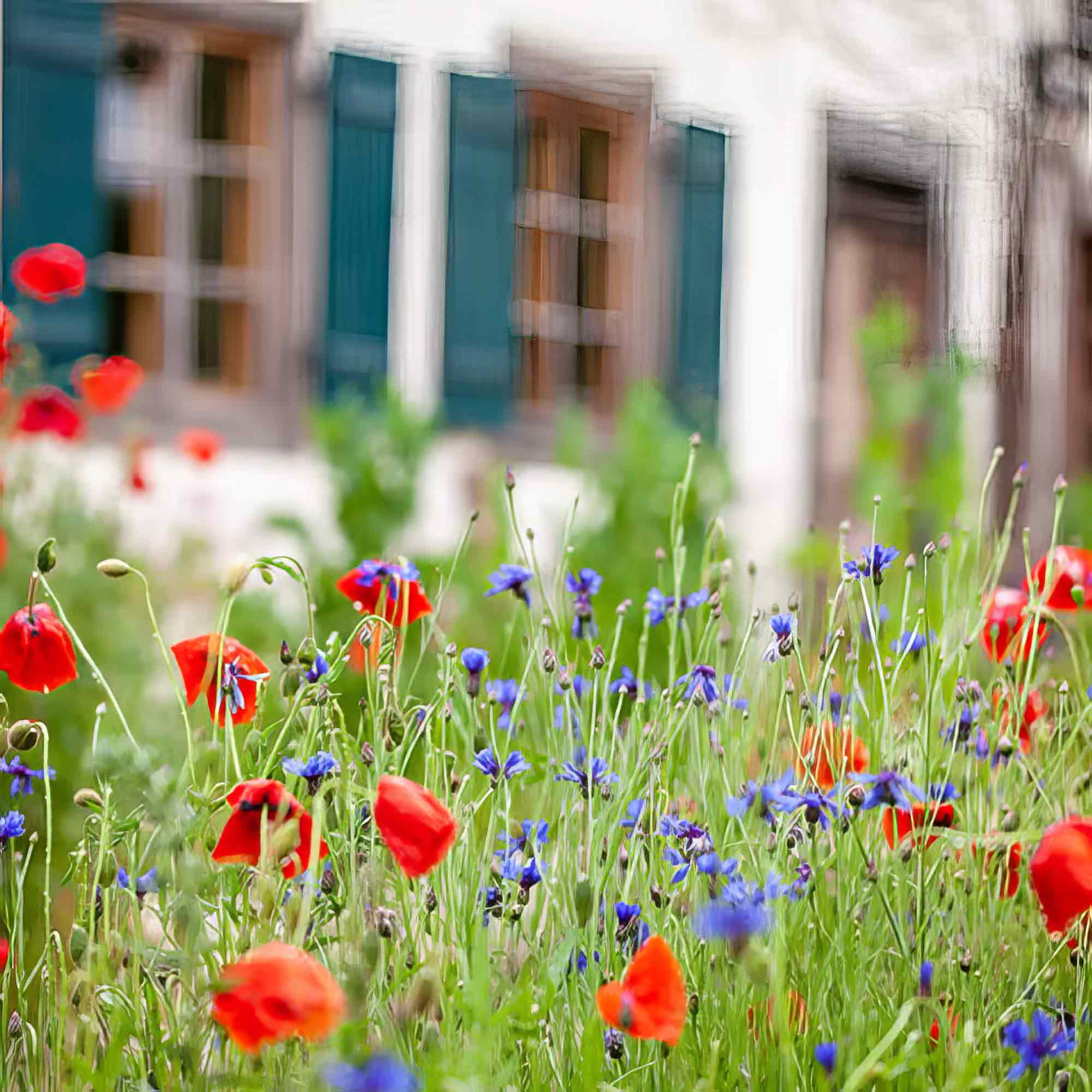 Gütersloh: Mehr Artenvielfalt im Garten – Broschüre »Gartenreich – das Einsteigerpaket« jetzt online verfügbar Gütersloh: Mehr Artenvielfalt im Garten – Broschüre »Gartenreich – das Einsteigerpaket« jetzt online verfügbar
