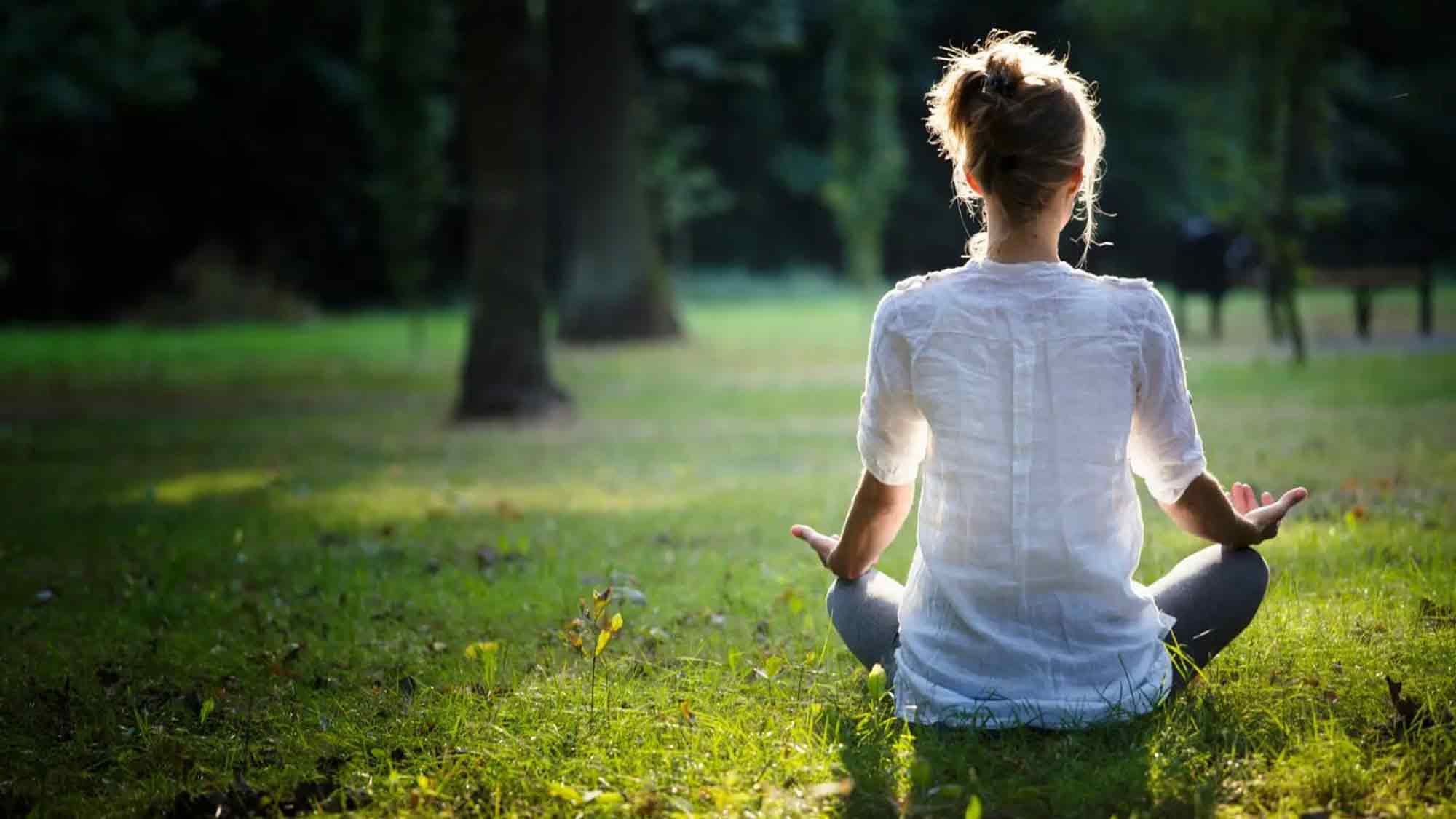 Natur wirkt – und wie! Warum Natur Stressmanagement eine der wirksamsten Formen der Gesundheitsvorsorge ist Natur wirkt – und wie! Warum Natur Stressmanagement eine der wirksamsten Formen der Gesundheitsvorsorge ist
