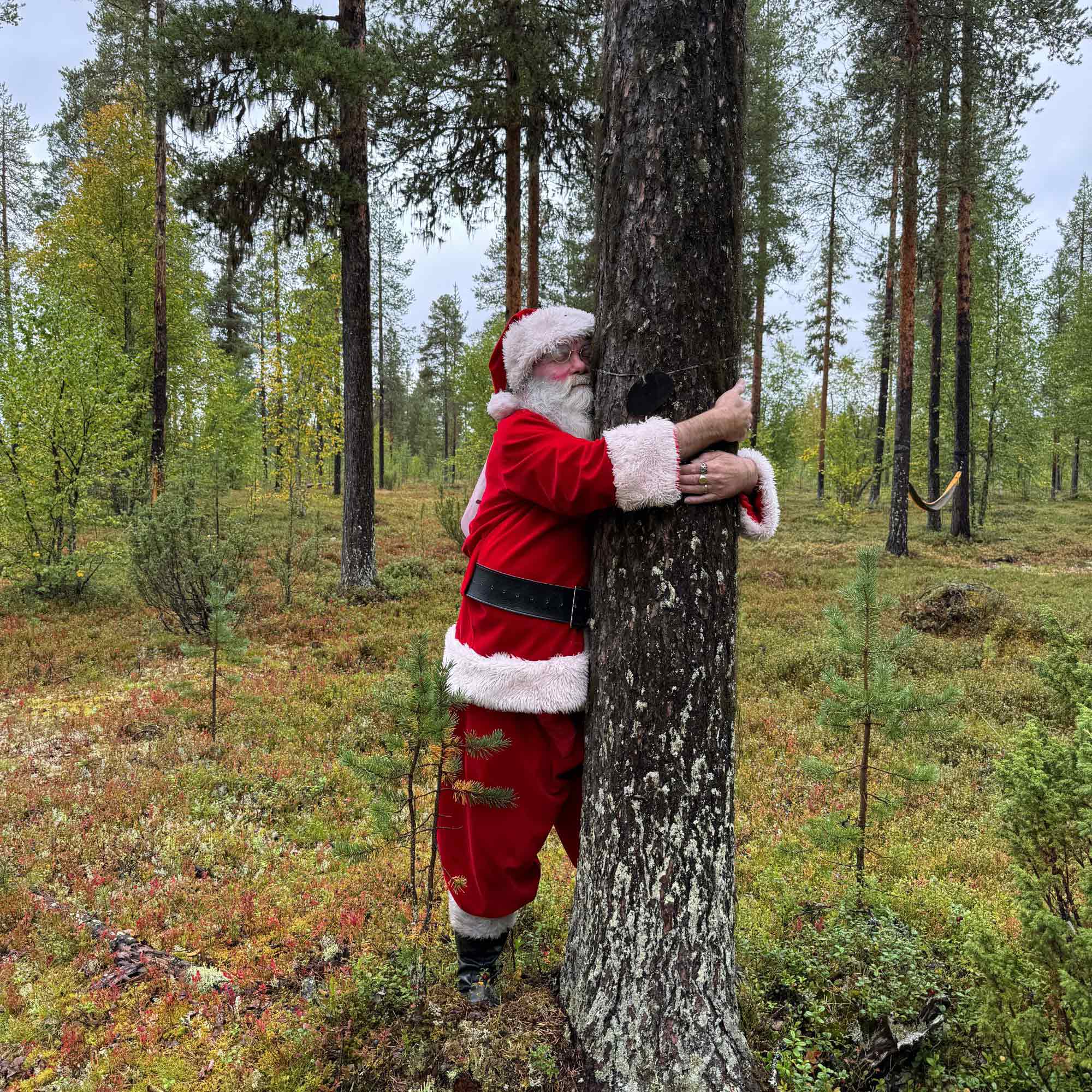 Die Welt umarmt die Natur – »TreeHugging« Weltmeisterschaften am 23. August 2025 in Finnland Die Welt umarmt die Natur – »TreeHugging« Weltmeisterschaften am 23. August 2025 in Finnland