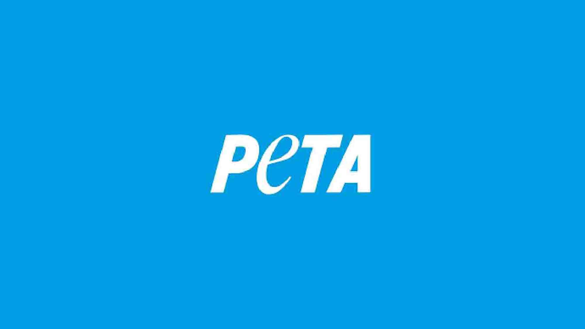 PETA meldet Erfolg: Staatsanwaltschaft Köln erkennt qualvolle Anbindehaltung von Rindern in Bergisch Gladbach als Straftat an PETA meldet Erfolg: Staatsanwaltschaft Köln erkennt qualvolle Anbindehaltung von Rindern in Bergisch Gladbach als Straftat an