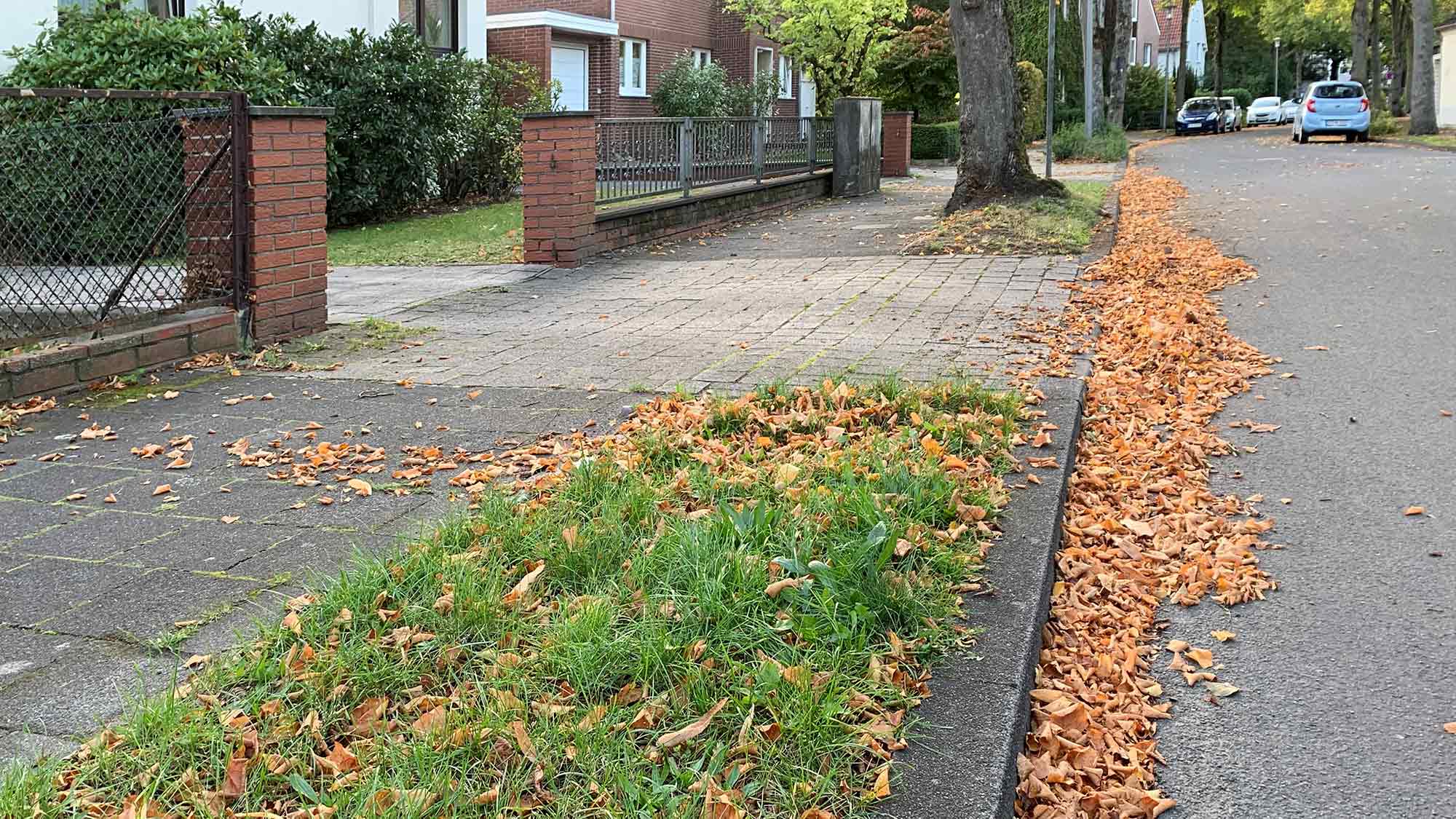Gütersloh: Laub in der Straßenrinne – Kehrmaschinen kommen an ihre Grenzen