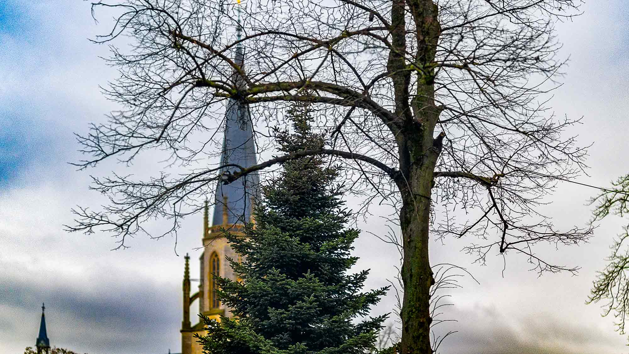 NOW Commons: Nennen Sie ihn, wie Sie wollen – Weihnachtsmarkt Gütersloh, Gütersloher Weihnachtsmarkt – der Baum steht NOW Commons: Nennen Sie ihn, wie Sie wollen – Weihnachtsmarkt Gütersloh, Gütersloher Weihnachtsmarkt – der Baum steht