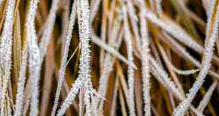 The NOW of Gütersloh