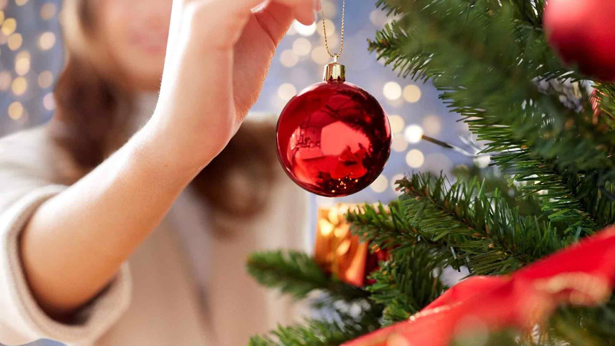 Verbraucherzentrale NRW: Wussten Sie schon, dass es Weihnachtsbäume auch mit Umwelt Siegel gibt? Verbraucherzentrale NRW: Wussten Sie schon, dass es Weihnachtsbäume auch mit Umwelt Siegel gibt?