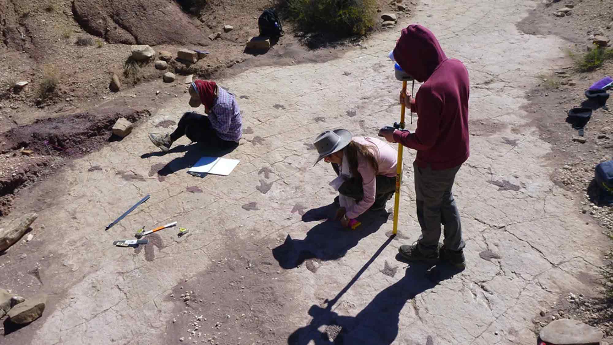 Adventistische Wissenschaftler leiten bahnbrechende Studie über die weltweit größte Dinosaurier Fußabdruckfundstätte Adventistische Wissenschaftler leiten bahnbrechende Studie über die weltweit größte Dinosaurier Fußabdruckfundstätte