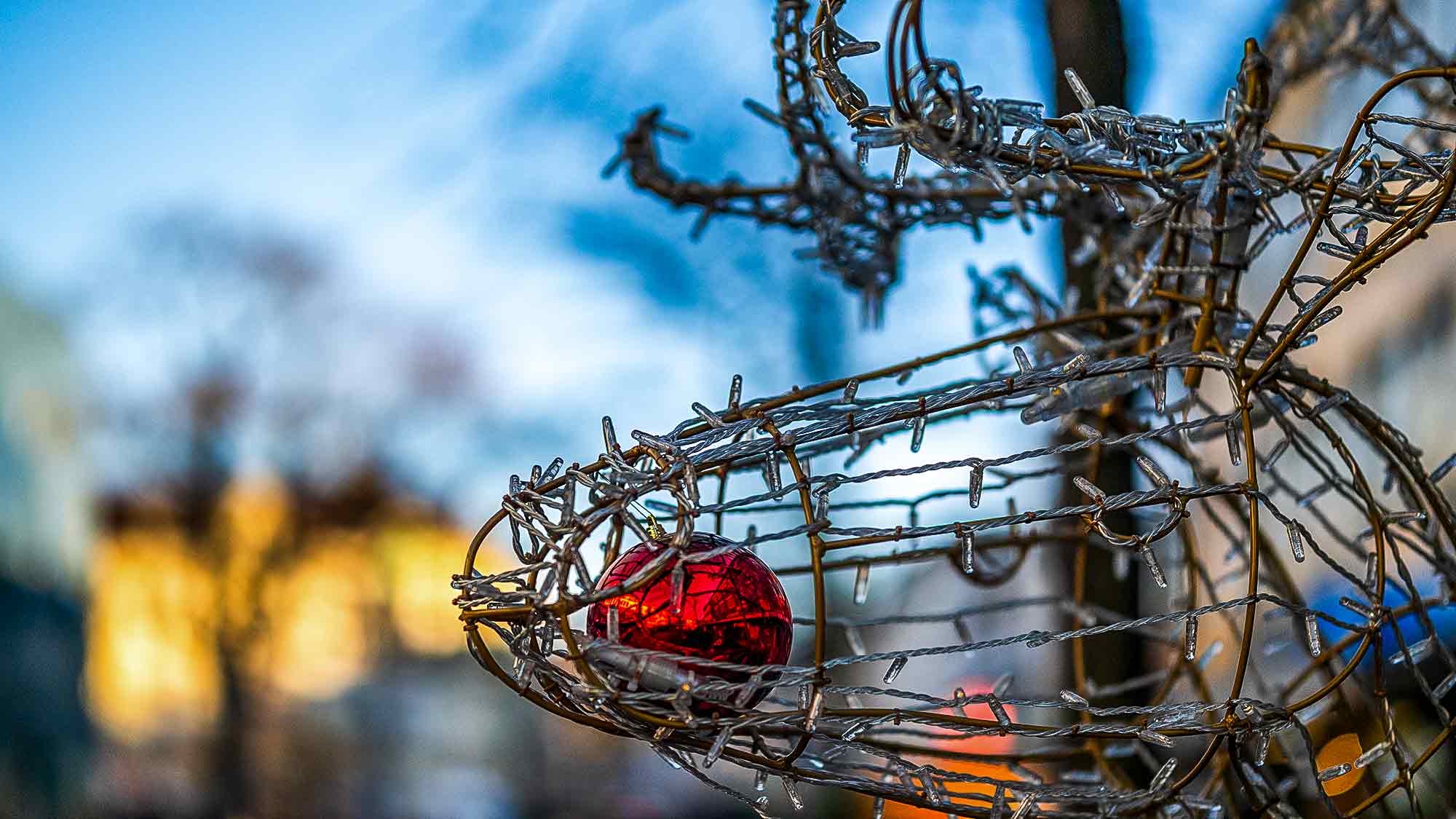NOW Commons: Gütersloher Weihnachtsmarkt, Rudolph the Red Nosed Reindeer, Fußgängerzone Mittlere Berliner Straße NOW Commons: Gütersloher Weihnachtsmarkt, Rudolph the Red Nosed Reindeer, Fußgängerzone Mittlere Berliner Straße
