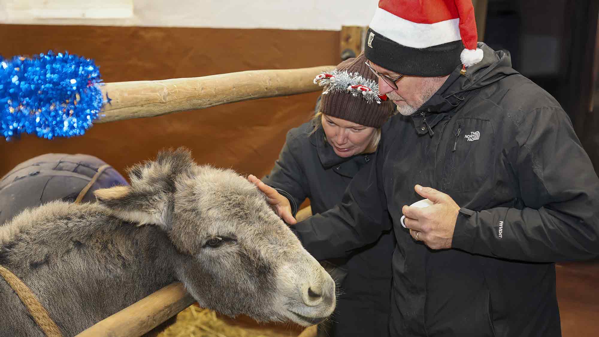 Kein Tierfreund soll Weihnachten einsam sein – besondere Einladung des Vereins &raquo;Achtung für Tiere&laquo;
