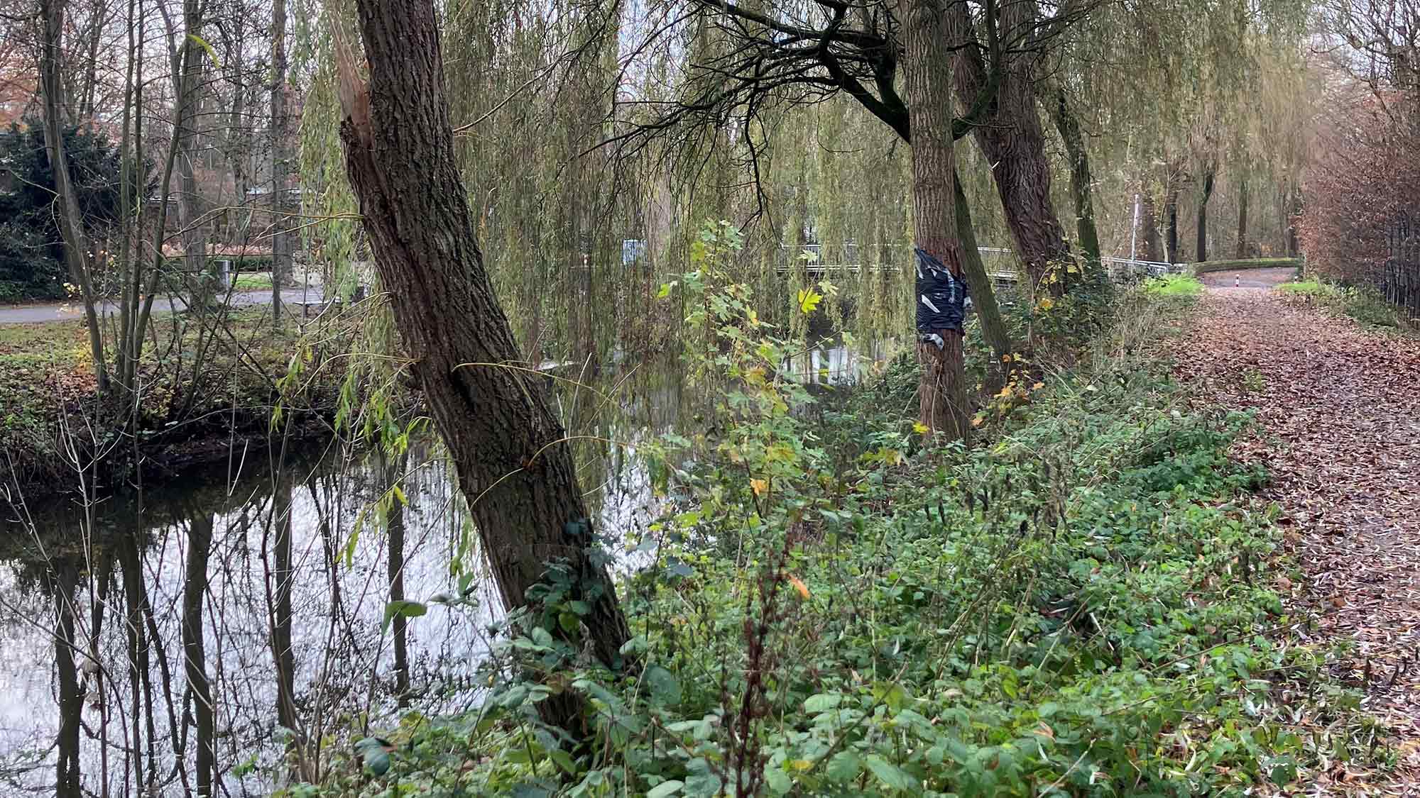 Rheda Wiedenbrück: Gehölzpflege entlang der Hochwasserschutzanlagen im Verlauf der Ems