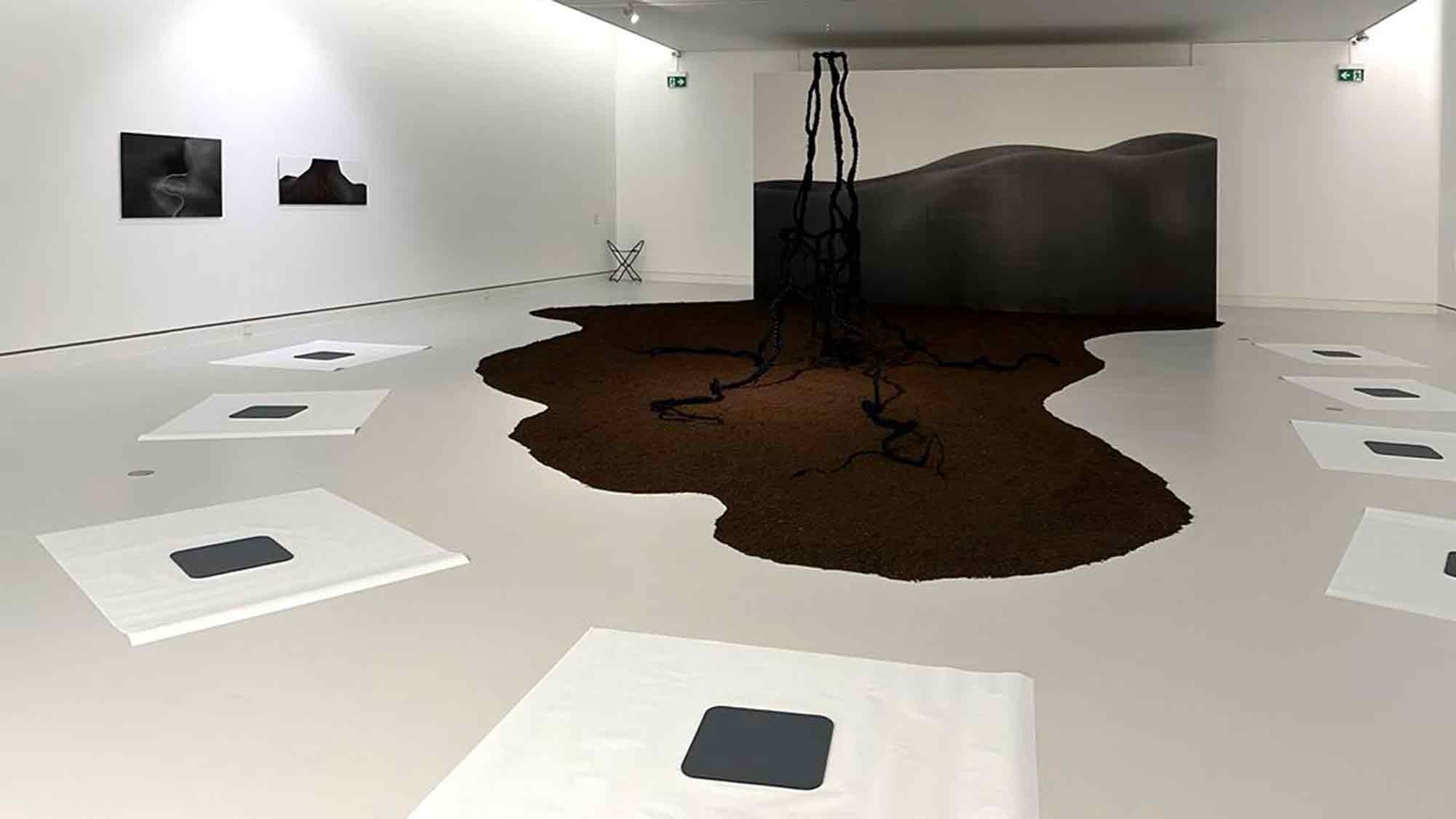 Schweizerisches Institut für Kunstwissenschaft (SIK ISEA): die neuen deutschsprachigen Lexikonartikel 2025 in SIKART Schweizerisches Institut für Kunstwissenschaft (SIK ISEA): die neuen deutschsprachigen Lexikonartikel 2025 in SIKART