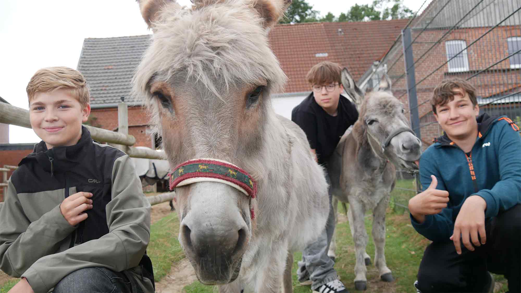Tiere verstehen, achten und beschützen – »Achtung für Tiere« bringt Tierethik in Schule und Freizeit Tiere verstehen, achten und beschützen – »Achtung für Tiere« bringt Tierethik in Schule und Freizeit