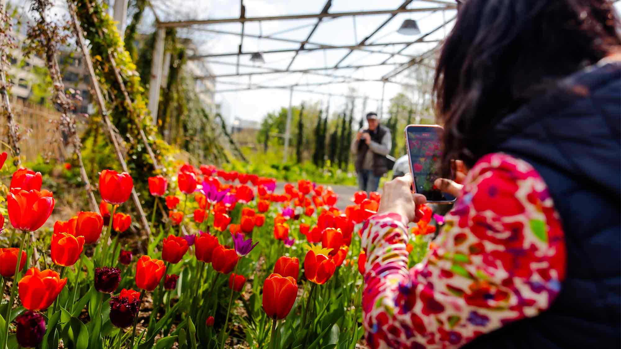 Vom »Lost Place« zum »Grünen Herzen« – Landesgartenschau Neuss 2026 eröffnet am 16. April 2026 Vom »Lost Place« zum »Grünen Herzen« – Landesgartenschau Neuss 2026 eröffnet am 16. April 2026