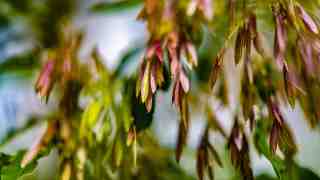 The NOW of Gütersloh