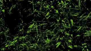 The NOW of Gütersloh