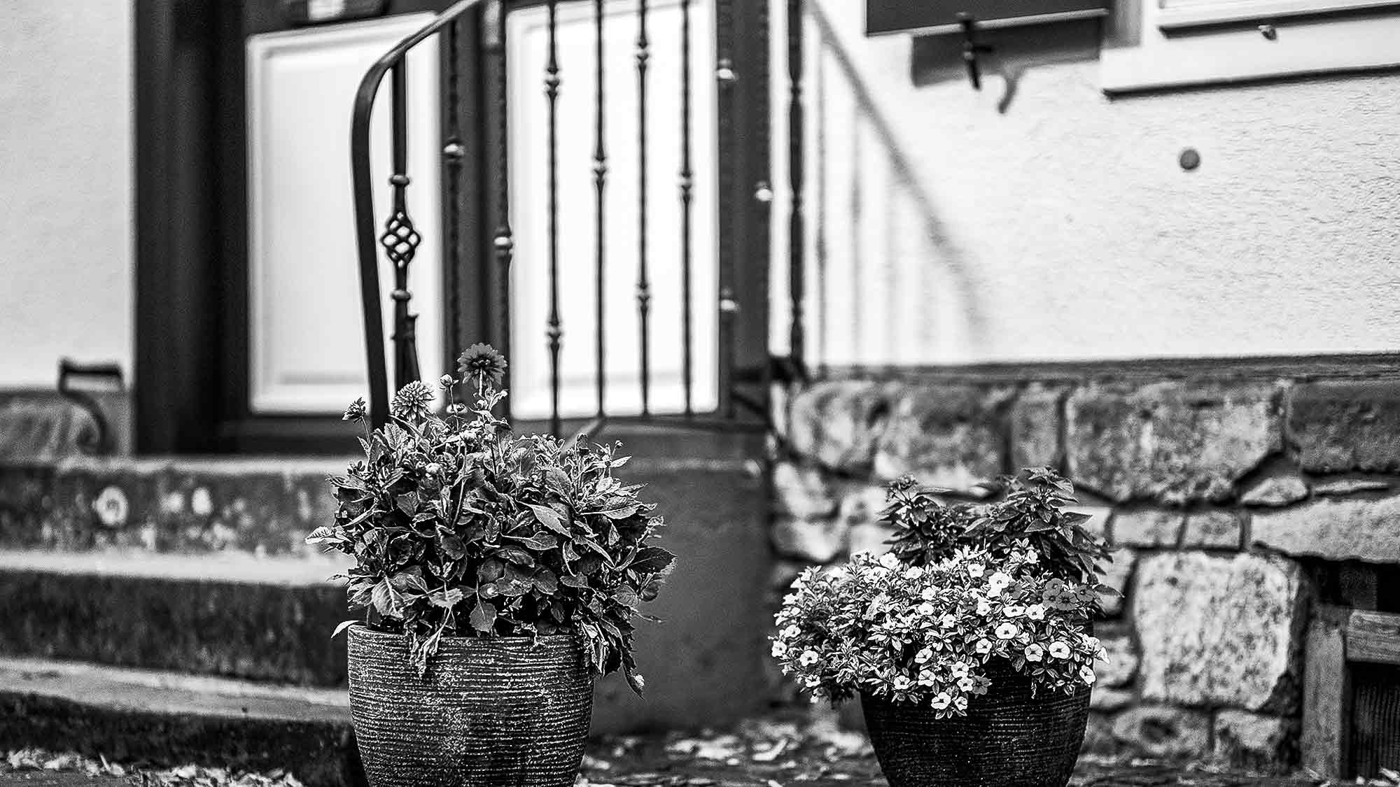 NOW Commons: Blumen, Treppe, Dreiecksplatz Gütersloh NOW Commons: Blumen, Treppe, Dreiecksplatz Gütersloh