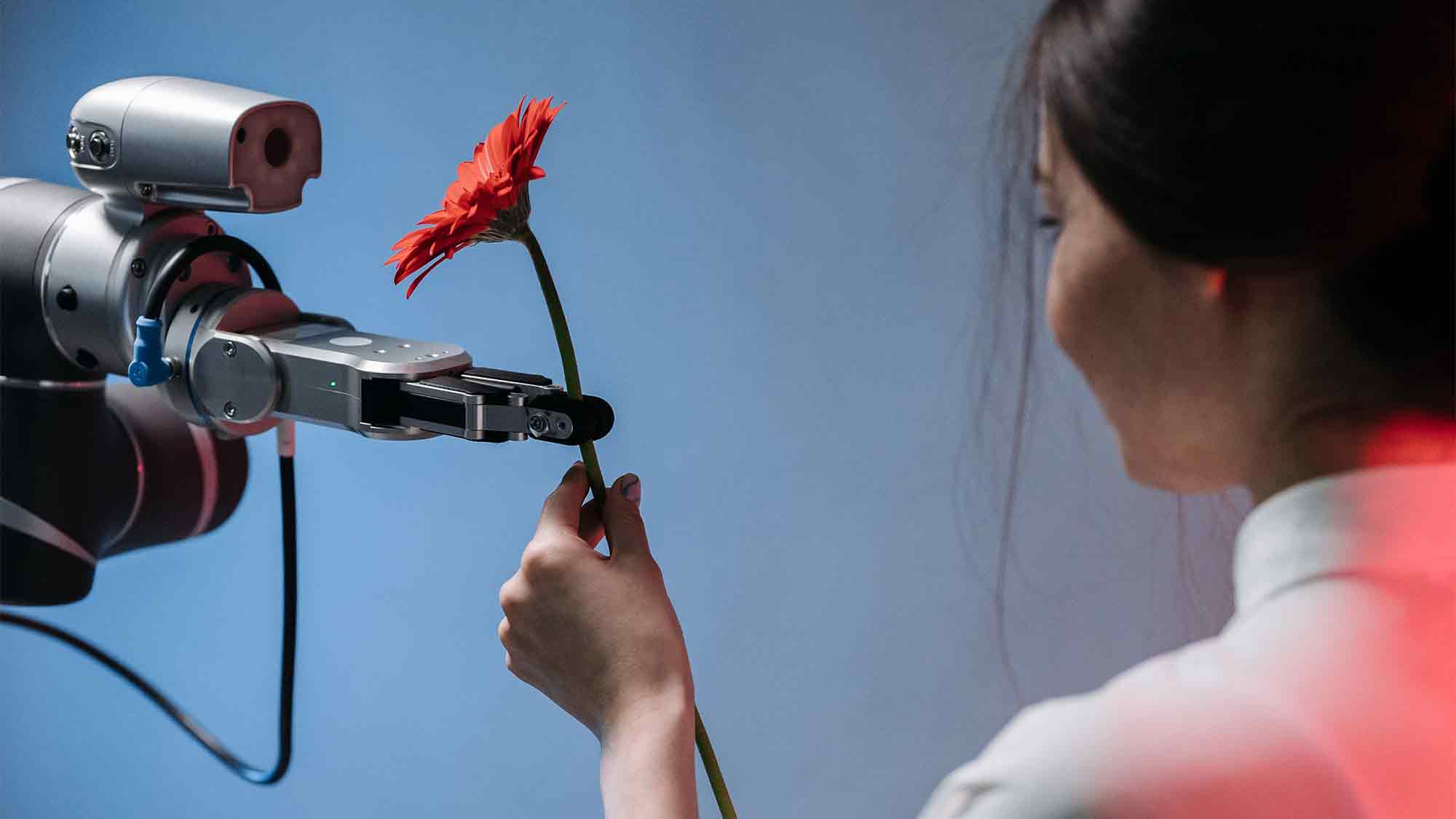 Machine Vision Kamera: Qualitätsprüfung im OWL Betrieb Machine Vision Kamera: Qualitätsprüfung im OWL Betrieb