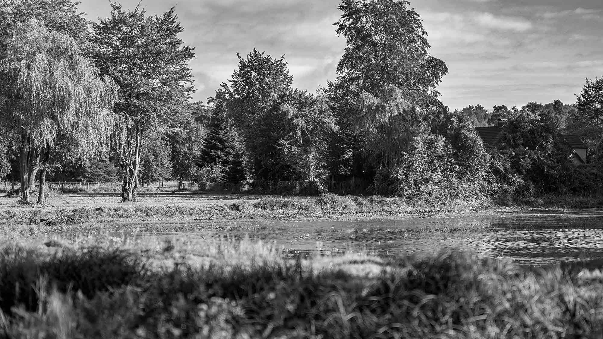 NOW Commons: Lost Place »Neue Mühle« Gütersloh … NOW Commons: Lost Place »Neue Mühle« Gütersloh …