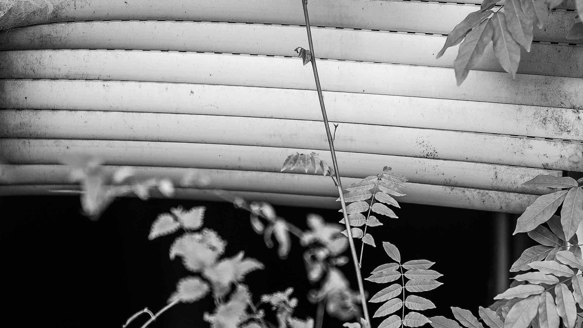 NOW Commons: Lost Place »Neue Mühle« Gütersloh …