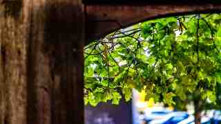 NOW Commons: Innenhof »Weinhaus Gütersloh«, Holz Torbogen und Weinranken