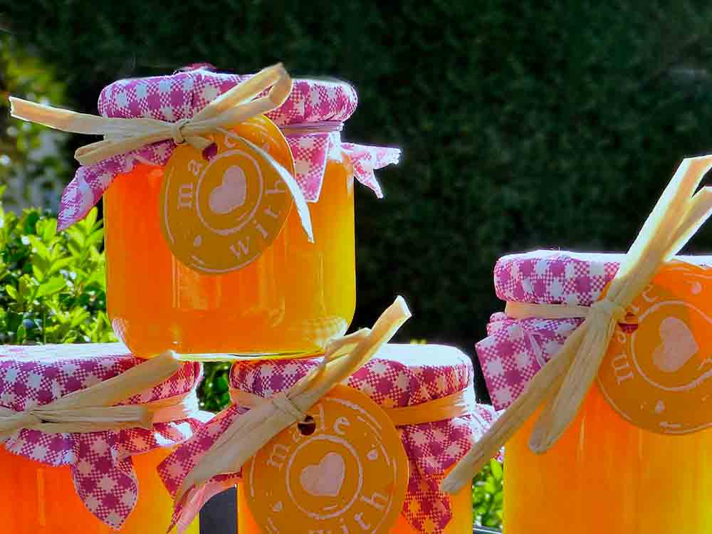 Marketing, Seltsamkeiten des Tages, Marketingpsychologie, Overchoice, Orangenmarmelade Marketing, Seltsamkeiten des Tages, Marketingpsychologie, Overchoice, Orangenmarmelade