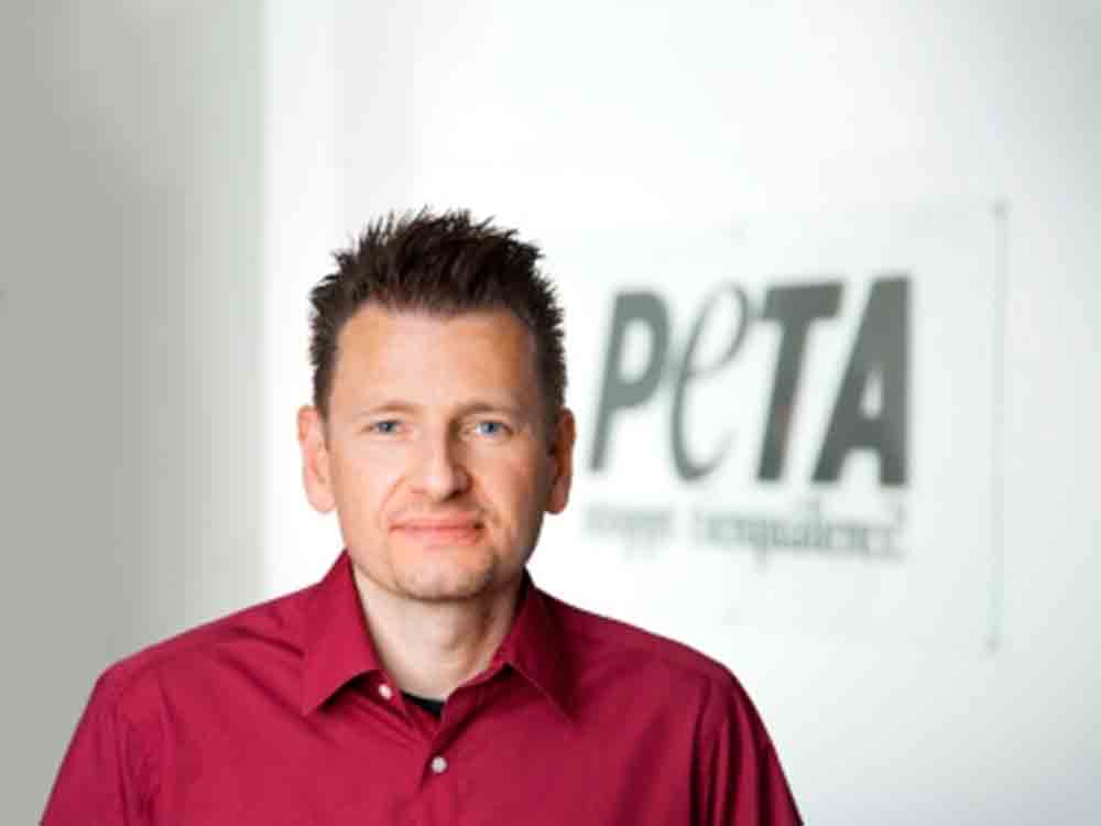 PETA Kommentar zu neuen Pferdeleitlinien für Karnevalsumzüge: »Neue Regeln ungeeignet, Tierleid und Unfallrisiken zu verhindern«
