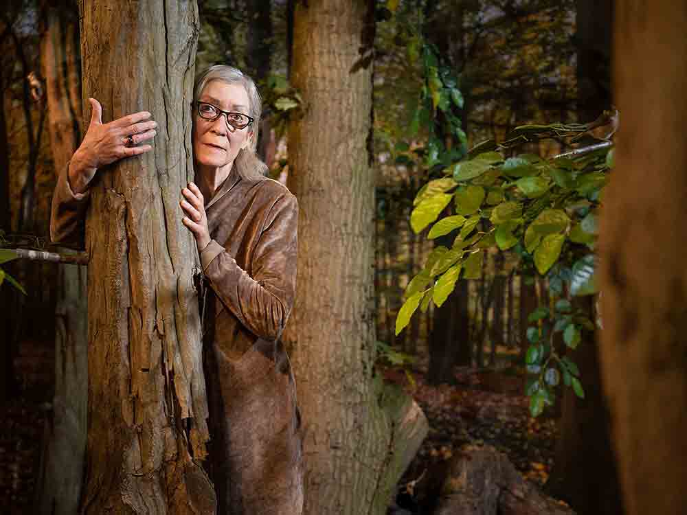 Vor lauter Bäumen doch gesehen, ein literarischer Waldspaziergang in der Sonderausstellung »Alleskönner Wald« Vor lauter Bäumen doch gesehen, ein literarischer Waldspaziergang in der Sonderausstellung »Alleskönner Wald«