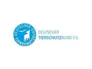 The NOW of Gütersloh