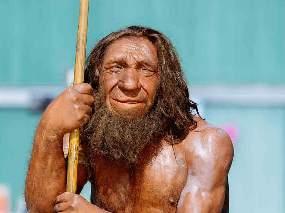 Vom Neandertal ins »digiTal«, online durch das Anthropozän, gemeinsame Führung durch das HNF und das Neanderthal Museum Vom Neandertal ins »digiTal«, online durch das Anthropozän, gemeinsame Führung durch das HNF und das Neanderthal Museum