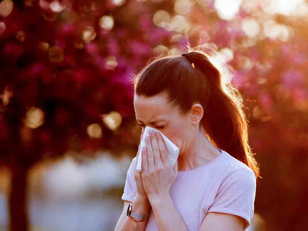 Richtig lüften, wenn die Pollen fliegen, Tipps zur Vorbeugung gegen rote Augen, Triefnase und Niesanfälle Richtig lüften, wenn die Pollen fliegen, Tipps zur Vorbeugung gegen rote Augen, Triefnase und Niesanfälle