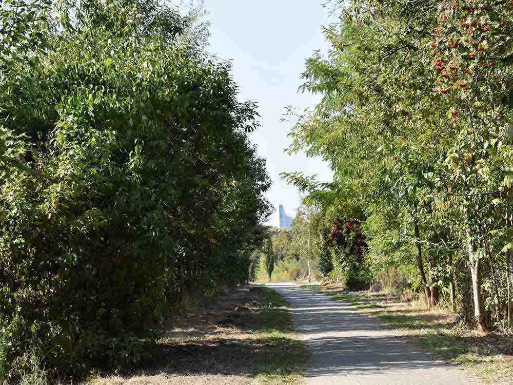 Tag des Waldes am 21. März 2022, Urbane Wälder für mehr Lebensqualität in Städten Tag des Waldes am 21. März 2022, Urbane Wälder für mehr Lebensqualität in Städten